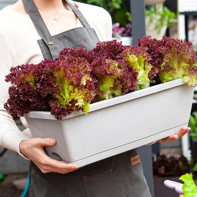 Household Flower Pot Growing Vegetables Flowers Planting Basin Convenient Resin Plant Pot Extra Large Rectangular Planting Pot