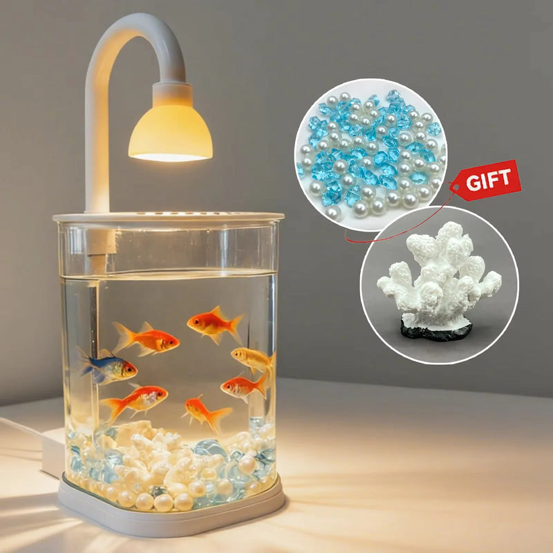 TOKA Starter Kit Small Fish Tank Fish Tank with Light Fighting Fish Tank Tabletop Turtle Tank Kids Party Gift