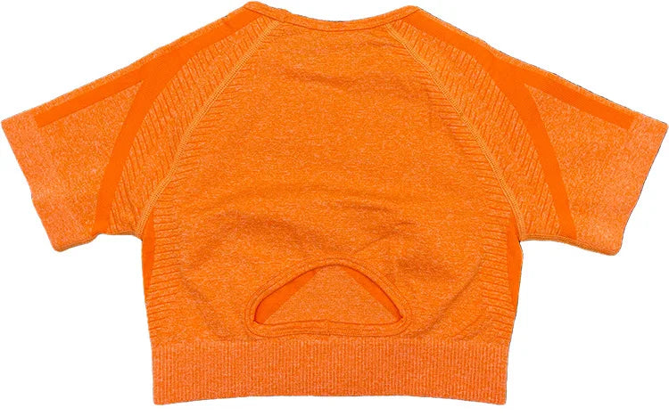 Seamless Yoga Sets Sports Fitness Peach Hip-lifting Shorts Beauty Back Short-Sleeved Suits Workout Gym Leggings Set for Women